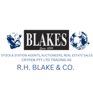 R H Blake & Co